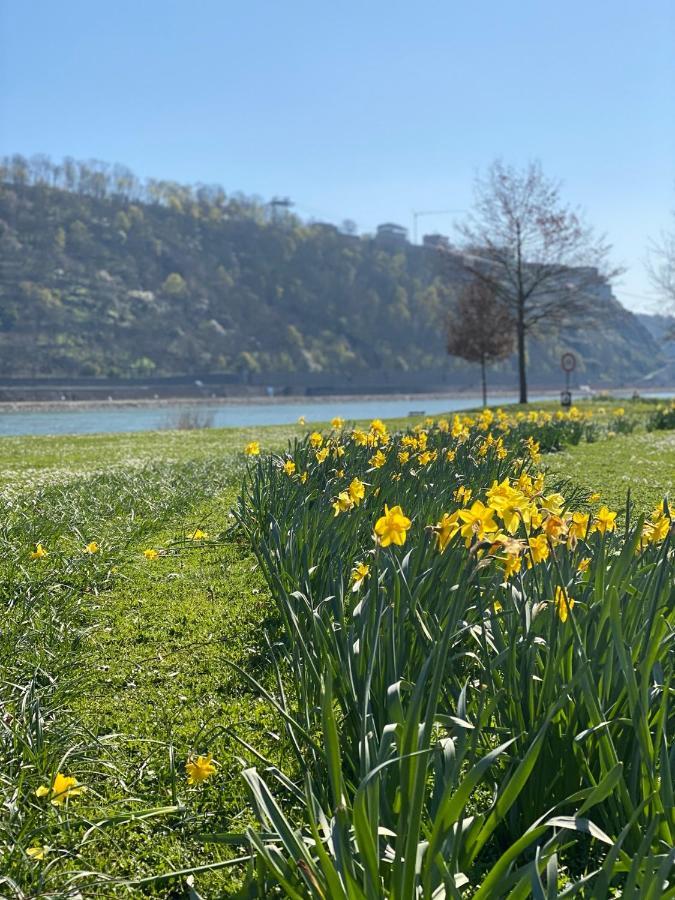 Kusch'Lige Kleine Wohnung Koblenz  Dış mekan fotoğraf